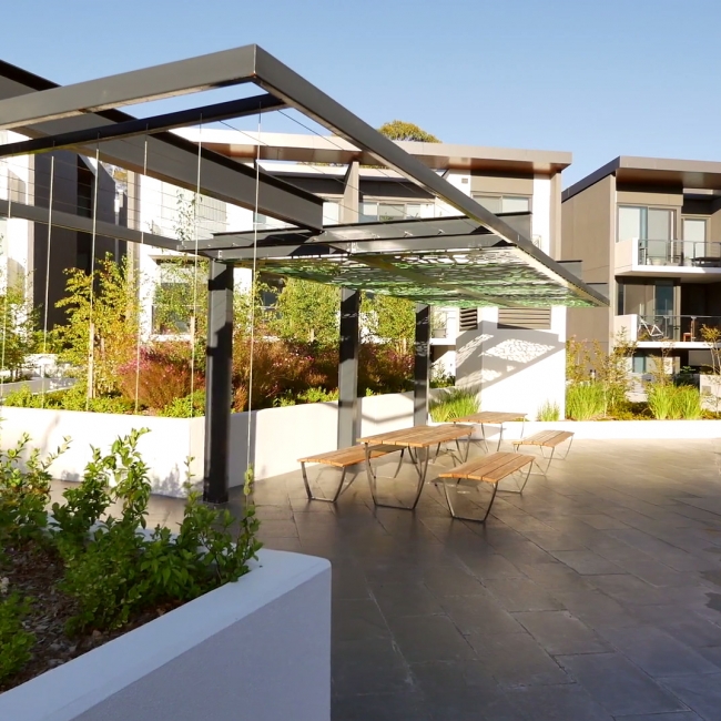 ‘Amaya’ Griffith